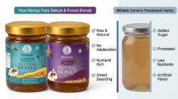 Wellness Care Honey Combo Pack of 2-  Jamun Honey & Forest Honey  100% Pure & Natural Honey - Image 8